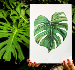 Monstera Deliciosa print from original artwork by Dublin based Dollybirds Art. The series contains several popular plants and animals.
