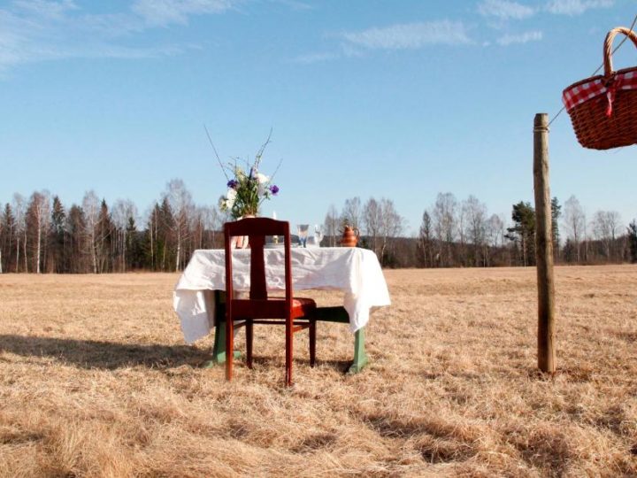 Table for One: Dine alone in Swedish meadow and name your price