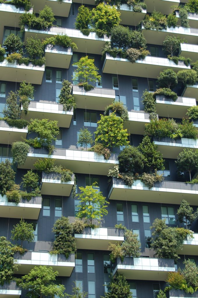 Living in an apartment doesn't mean you can't have trees! Even if your access to nature is restricted by city living, the residents in these apartments gain a natural perspective.