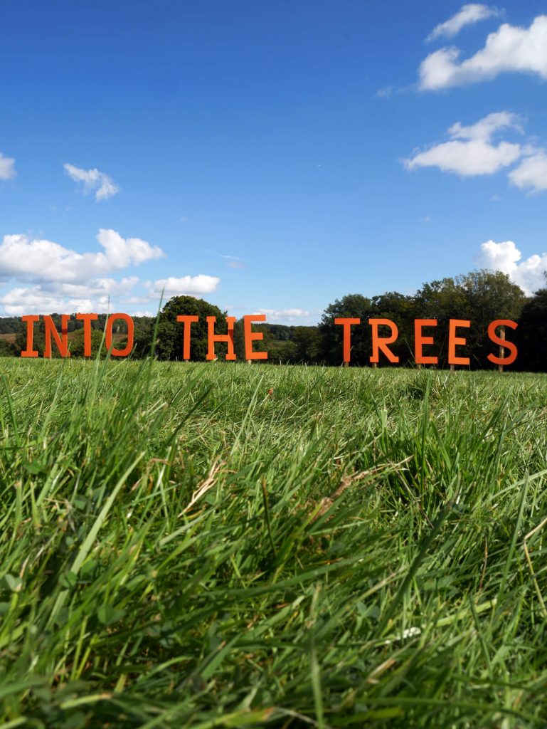 Into The Trees family festival, Pippingford Park, Sussex.