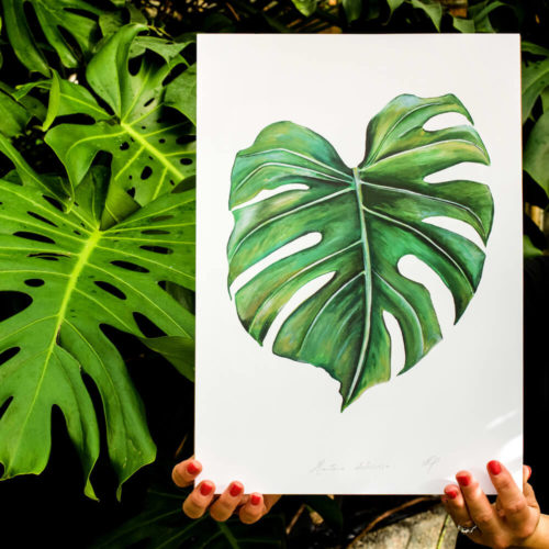Botanical Print - Cheese Plant- Monstera Deliciosa lifestyle, signed A3. Painted, printed and hand finished in Belfast by Dollybirds Art. Printed onto thick 300GSM IPS uncoated art paper. Create powerful natural impact with all three tropical botanical prints in the Dollybirds collection!