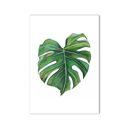 Cheese Plant Print Monstera Deliciosa product, signed A3. Painted, printed and hand finished in Belfast by Dollybirds Art. Printed onto thick 300GSM IPS uncoated art paper. Create powerful natural impact with all three tropical botanical prints in the Dollybirds collection!