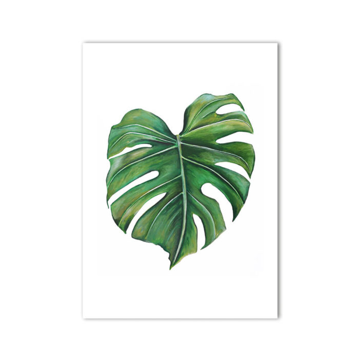 Cheese Plant Print Monstera Deliciosa product, signed A3. Painted, printed and hand finished in Belfast by Dollybirds Art. Printed onto thick 300GSM IPS uncoated art paper. Create powerful natural impact with all three tropical botanical prints in the Dollybirds collection!