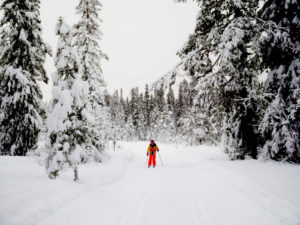 Full body workout for my daughter - Nordic skiing in Sälen, Sweden!