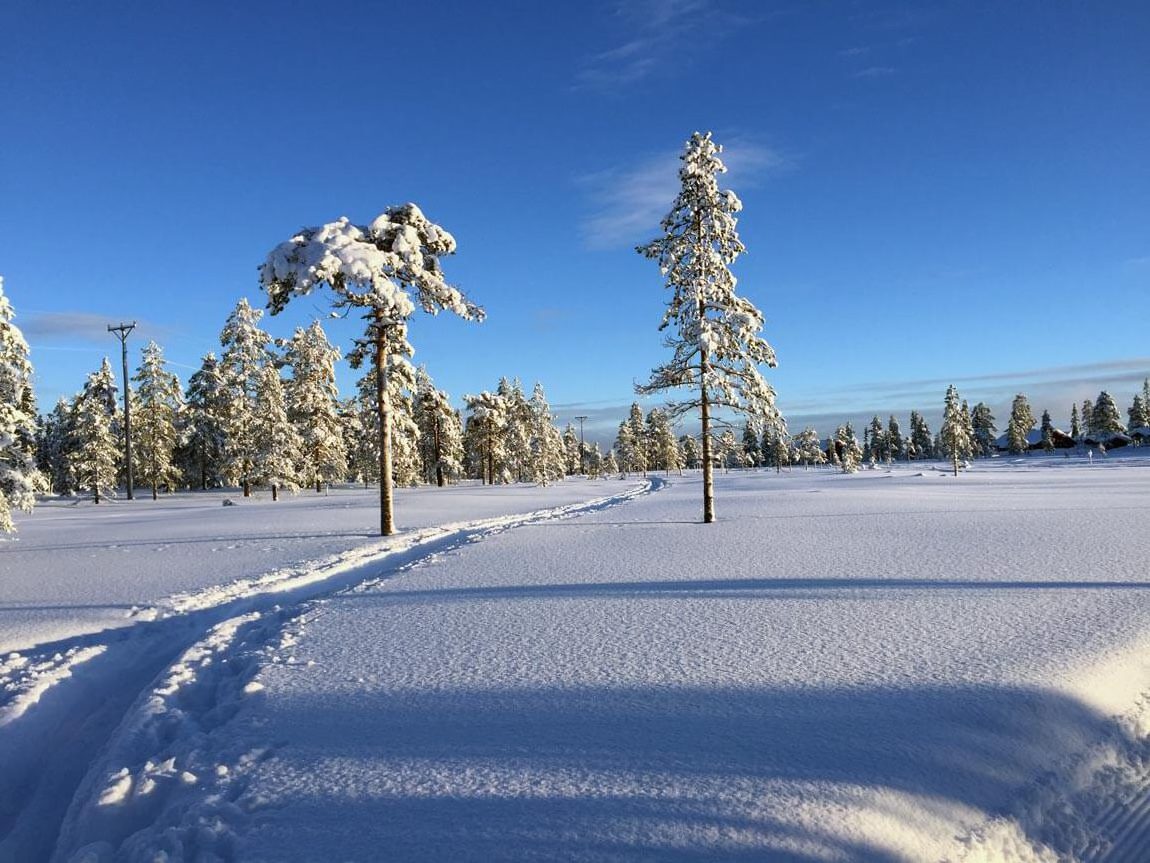 The early bird catches... this stunning, crisp, snowy sunrise in Sälen, Sweden. Speaking to the locals, it seems the snow has never been this good this early in Sälen, Sweden! Photo by Anna Sjostrom Walton, Chalk & Moss.