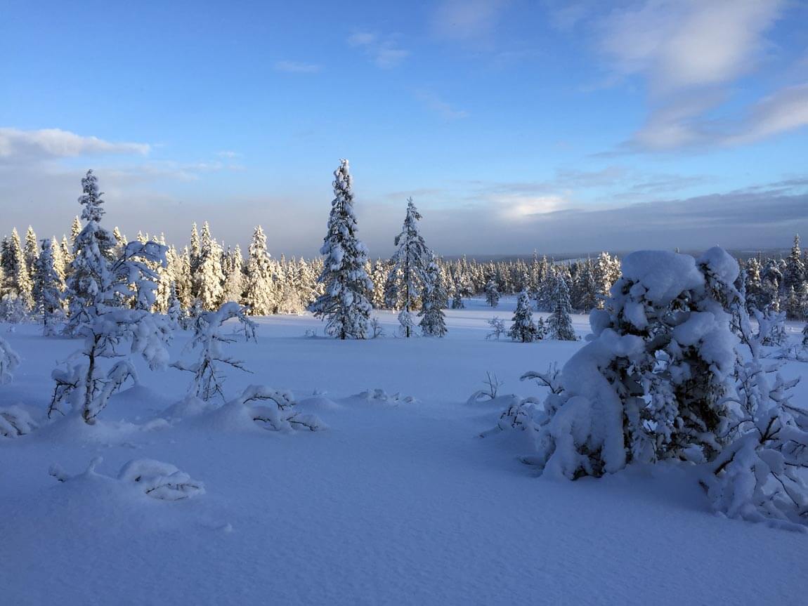 The view from the Gubbmyren Nordic ski trails in Sälen, Dalarna county, Sweden. Photo by Anna Sjöström Walton for Chalk & Moss (chalkandmoss.com).