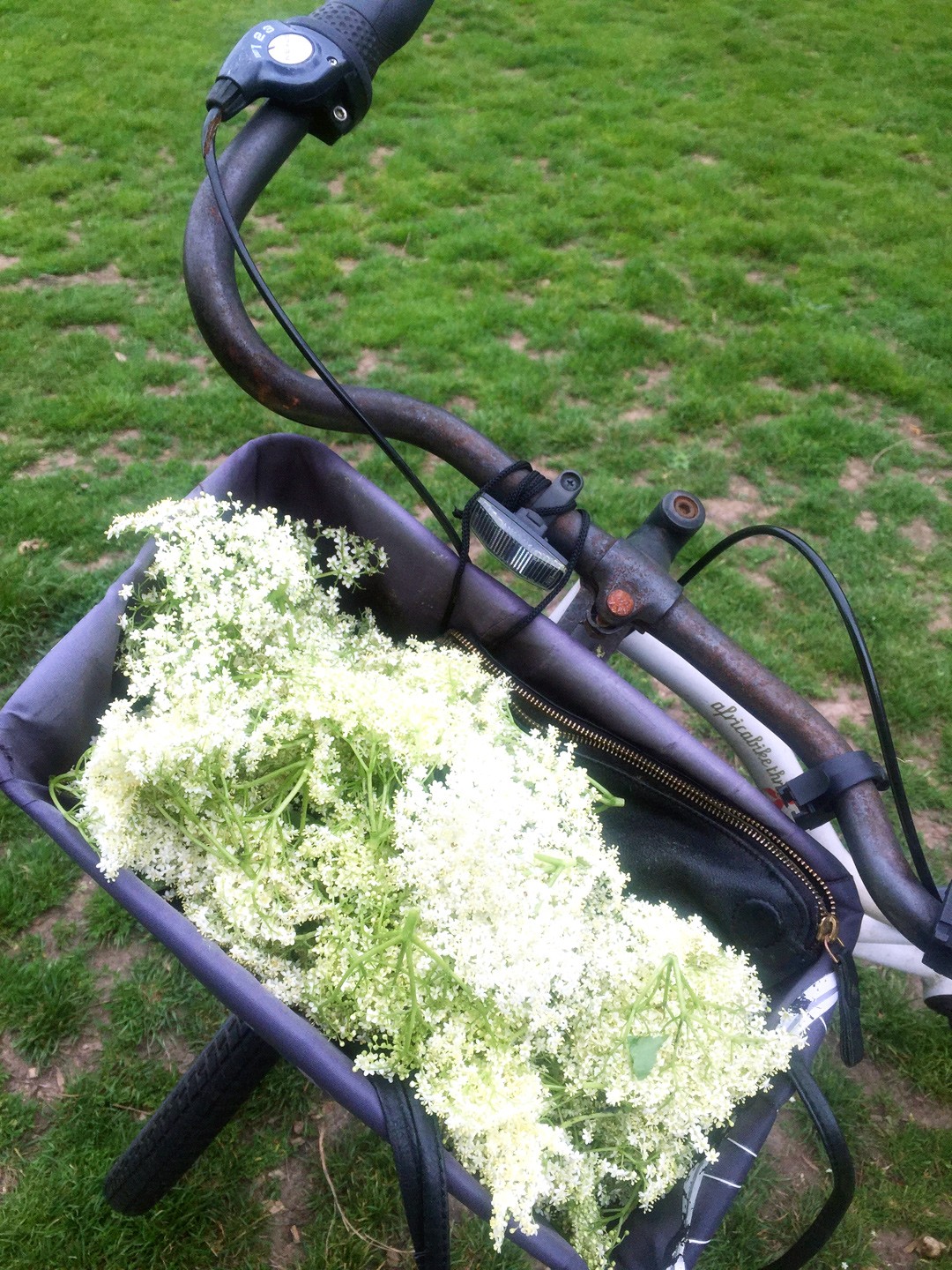 The elderflower tree took us by surprise without my tote bag, so the basket did the job just fine! Homeward bound to get started on making our own elderflower cordial! Make your own with these simple steps: https://www.chalkandmoss.com/how-to-make-elderflower-cordial-easy-refreshing-summer-in-a-bottle/