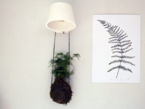 Kokedama balls are great decorative pieces. Why not hang them next to botanical artwork, like this Fern print by Dollybirds Art? Available on Chalk & Moss (chalkandmoss.com).