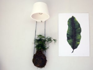 Place botanical art and real plants side by side to create texture, interest, and to draw the eye around the room. Both real and visual references to nature help improve our wellbeing, according to biophilia and biophilic design. Read more about this on Chalk & Moss (chalkandmoss.com). The Banana Leaf plant print is by Dollybirds Art, available in the Chalk & Moss online shop.