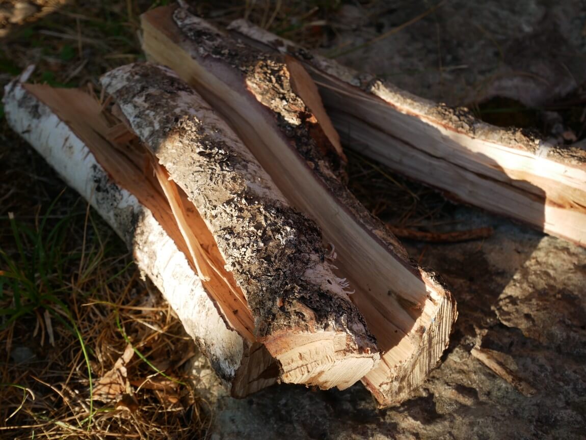 Seasoned birch from the summer house wood store. This is one of our old trees, that was cut down about 3 years ago.