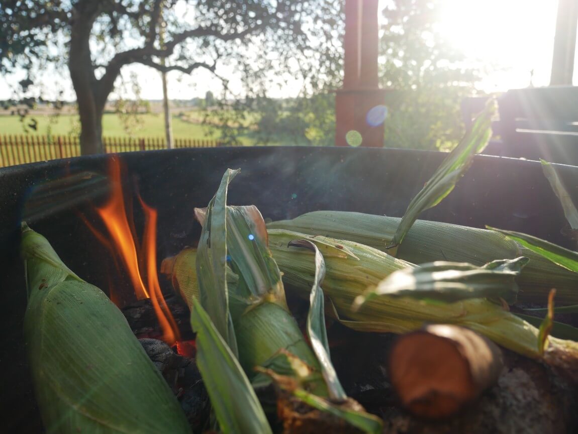 The jackets of the corn protect them from the flames, but let the delicious smoky flavour seep through. They take about 15 minutes to cook.