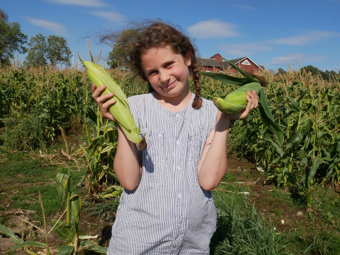 Happy with her haul! Now off to start the campfire to cook these sweetcorn.