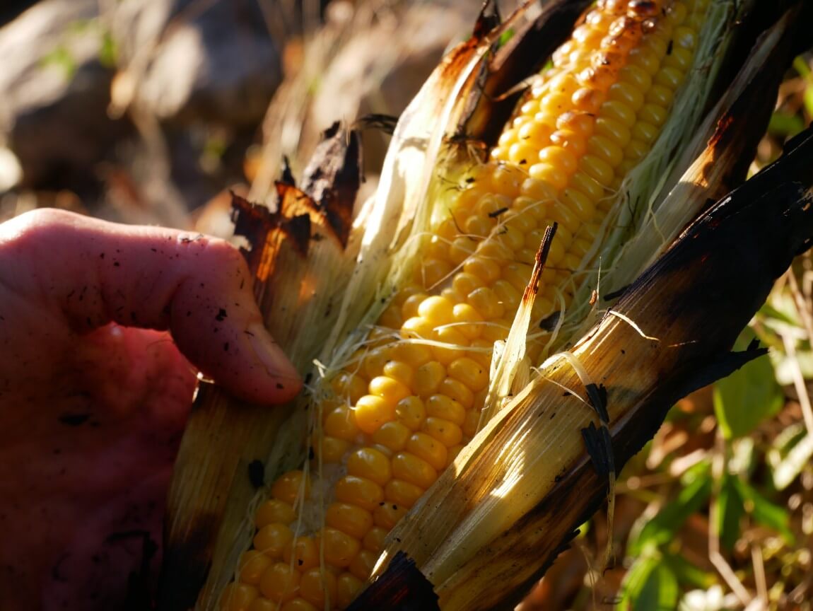 Is there anything that says late summer more than fresh corn on the cob? And better yet, pick your own and cook them over an open fire, then served with melting butter and a sprinkling of salt.