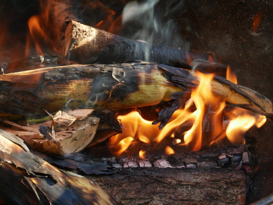 Corn on the cob is one of my favourite late summer treats. Nothing can beat these beauties cooked over an open fire, served with melting butter and a sprinkling of salt.