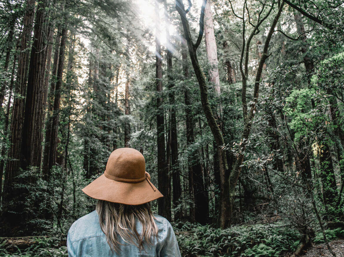 We don't see things until we stop and pay attention. That's why forest bathing practitioners recommend we do nothing when we're in the forest. Don't try to achieve anything, just meander, or sit still, and use all 5 senses. No wonder it's great for our physical and mental health. Read this blog post to find out more. 
