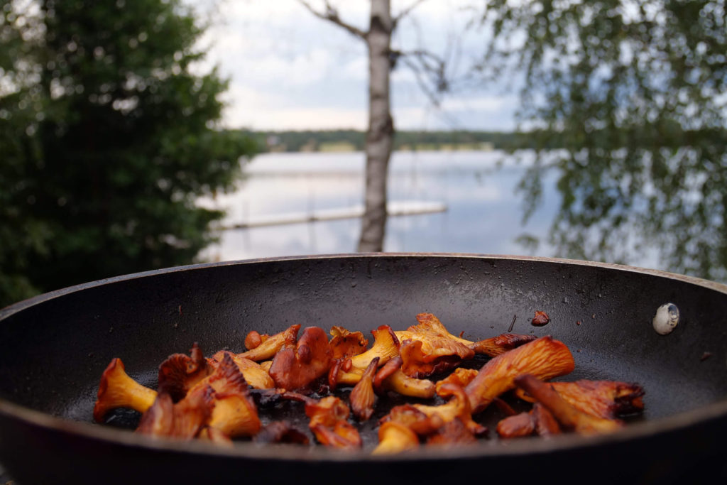 This summer, we ventured beyond chanterelles and picked the Boletus mushroom family (