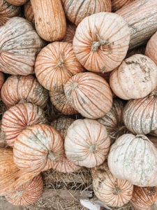 Speckled Halloween pumkins. No need to decorate, they're a beautiful decoration as they are. Photo: Derick McKinney on Unsplash