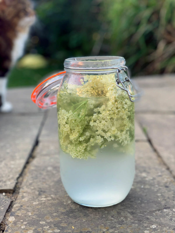 The best water kefir recipe - the hunt is over (for now) For all water kefir fans out there - I've just discovered my absolute favourite water kefir recipe so far - Elderflower kefir. Easy as pie (well, much easier than pie actually).⁠ So many people messaged me on my Chalk & Moss Instagram asking for the recipe, so I'm sharing this superfood recipe with you all here. I'll break it into steps for experienced kefir makers and novices alike.  What is water kefir? Many have heard of milk kefir, a liquid sort of yoghurt full of good gut bacteria. But you can also make water kefir with the grains, a wonderful and healthy fizzy drink, often flavoured. Kefir, being a fermented probiotic drink, does wonders for your gut health, digestion and immune system. Water kefir is of course a great choice for those with lactose intolerance. To make water kefir, all you need is water, sugar and kefir grains.  You then add flavouring, such as elderflower, strawberries or dried fruit. See full recipe here.