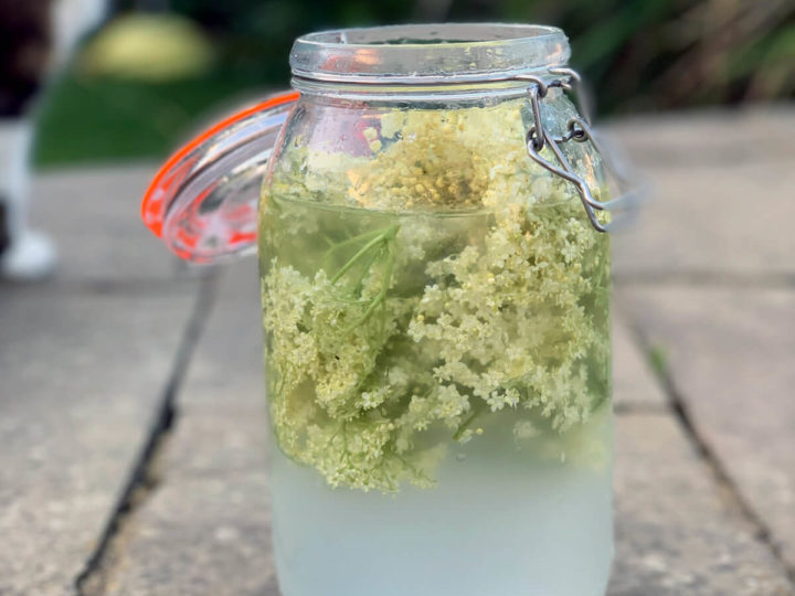 Water kefir recipe – elderflower kefir is THE BEST